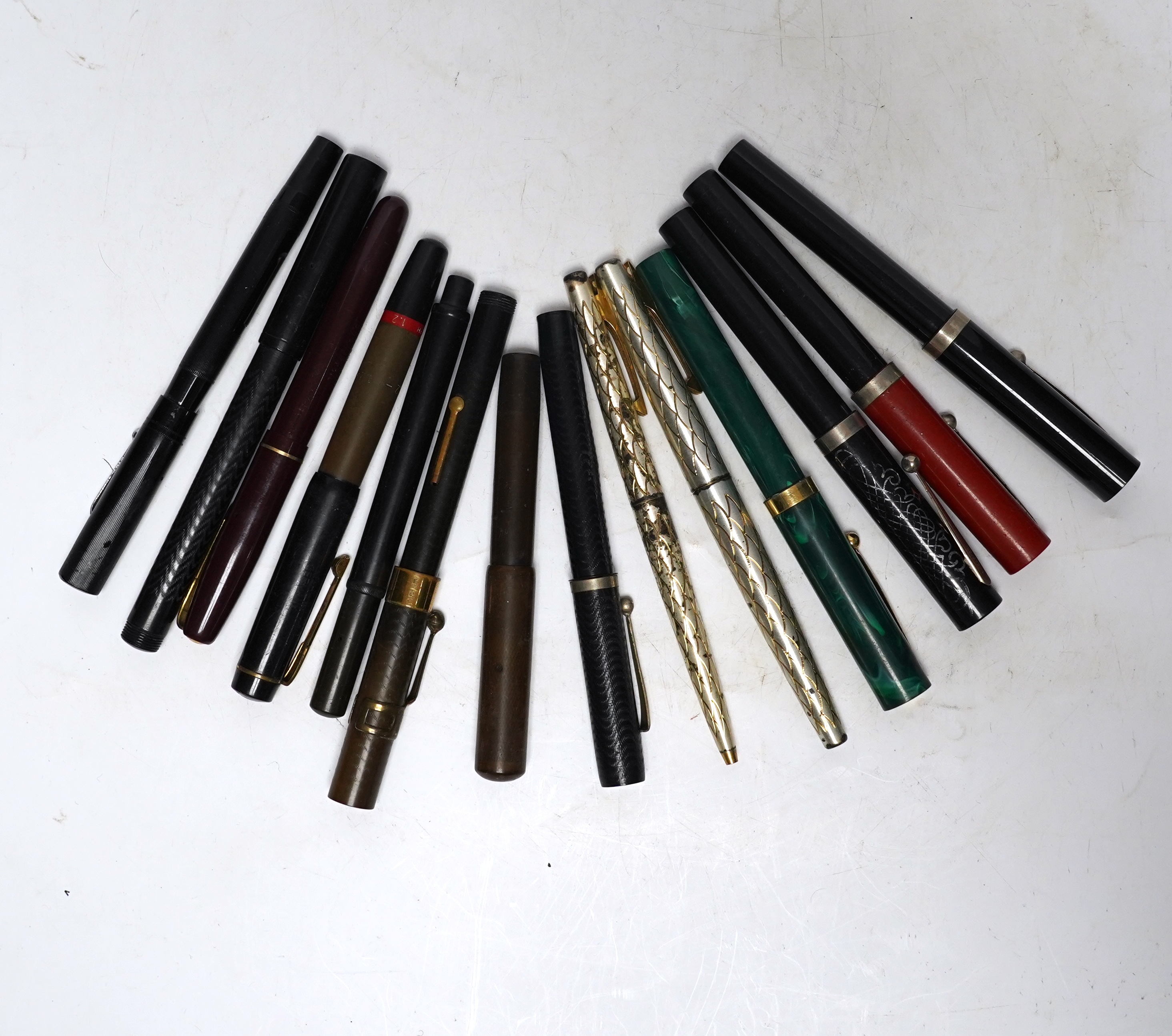 Fourteen assorted fountain pens.